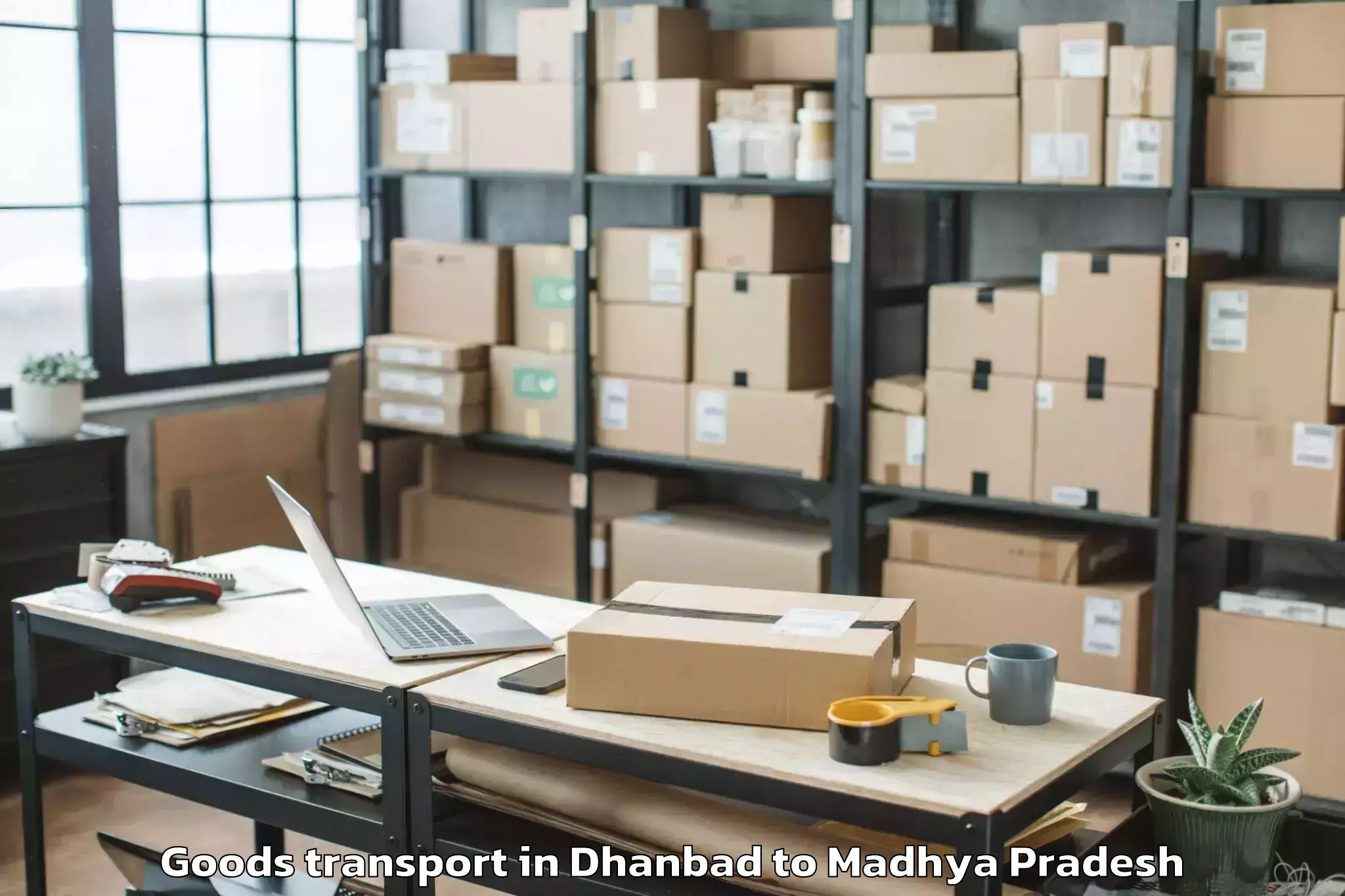 Book Dhanbad to Mandsaur University Mandsaur Goods Transport